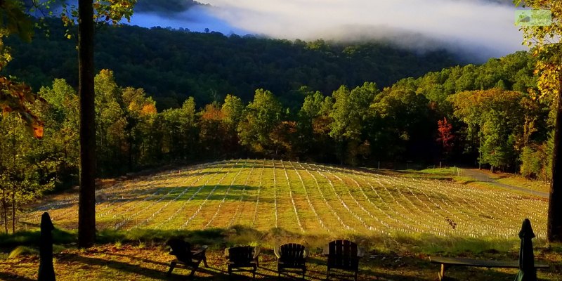 Ankida Ridge Vineyards