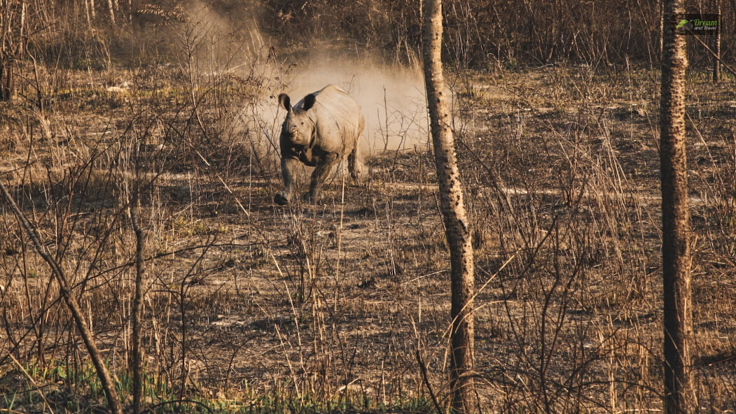 Bardia National Park