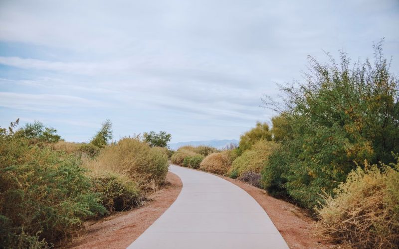 Clark County Wetlands Park
