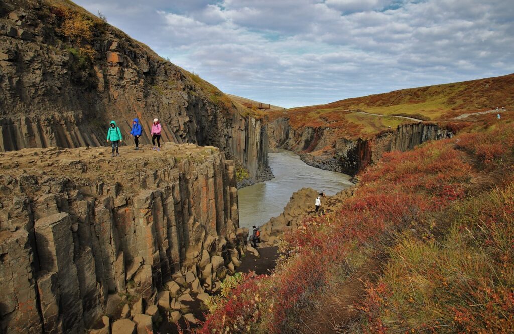 Explore Australia's Social Scene