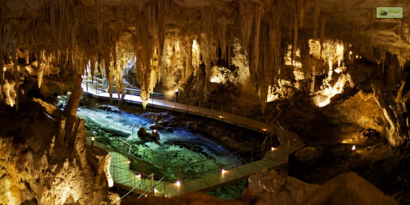 Features And Amenities