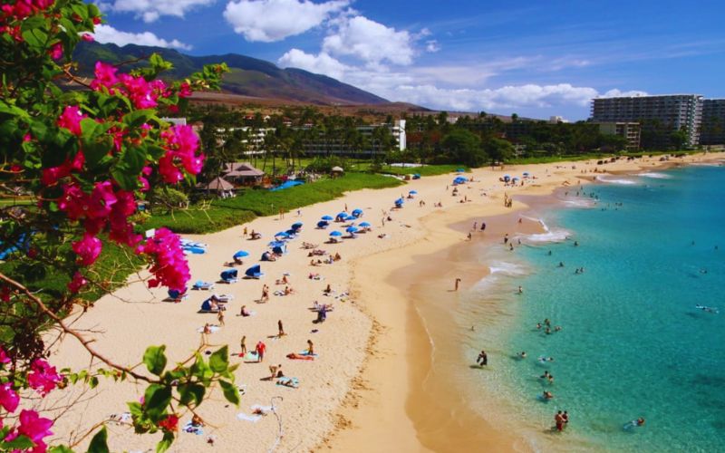 Top 5 Dream Vacation Spots from Myrtle Beach to Maui: Let’s Explore