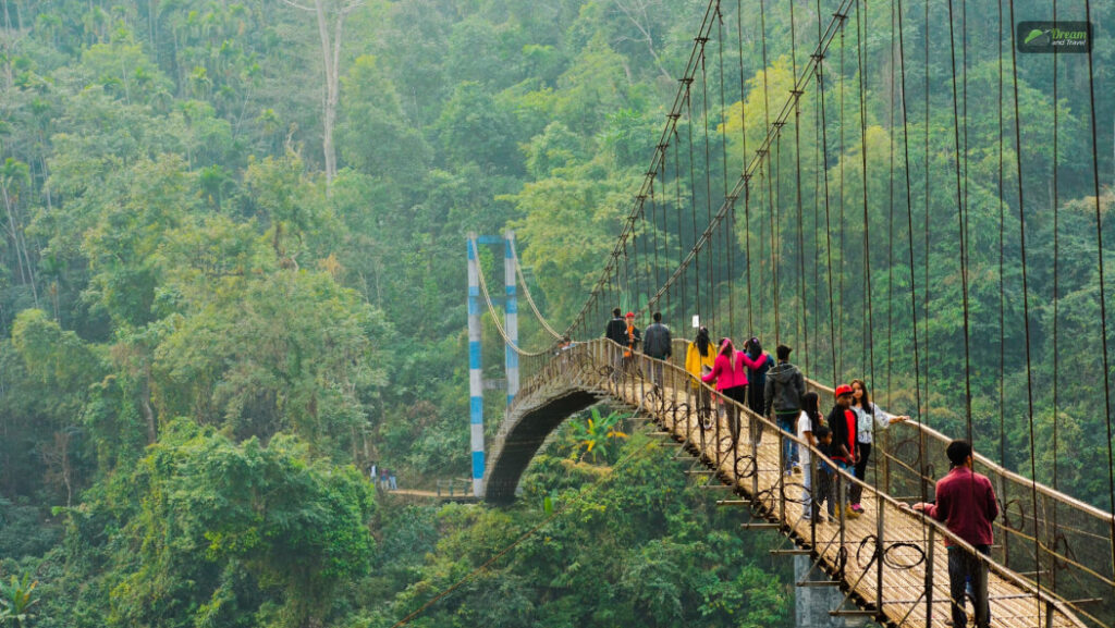 Best Time To Visit Meghalaya For Nature Lovers | North-East Travel Guide