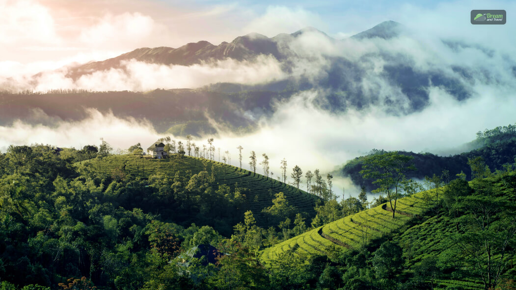 October To March (The Best Time To Visit Kerala)