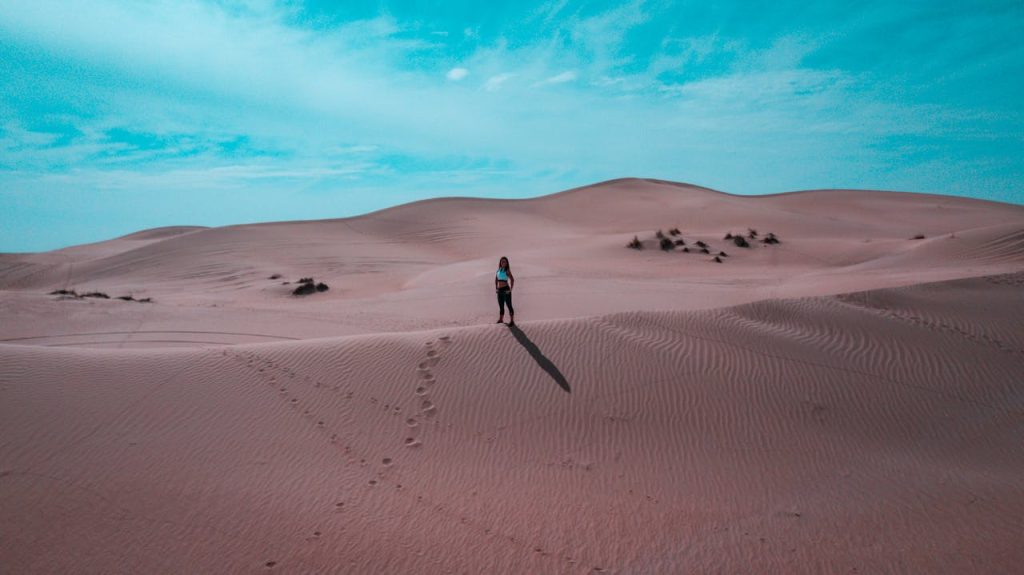 Exploring the UAE Desert