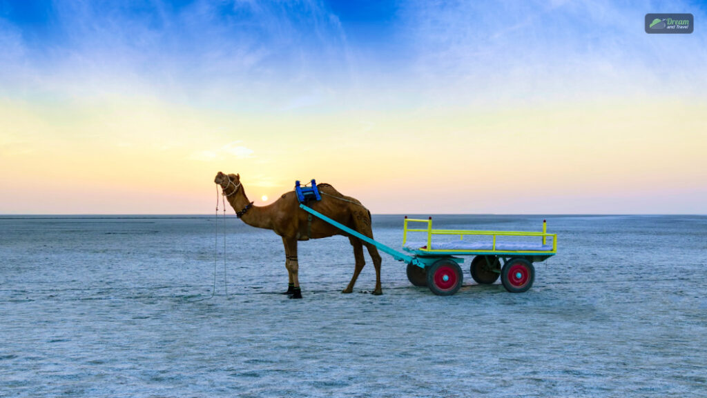 Rann of Kutch