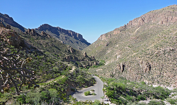 Sabino Canyon