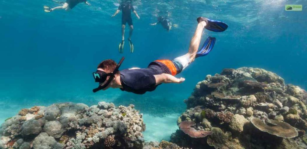 Scuba diving and snorkeling