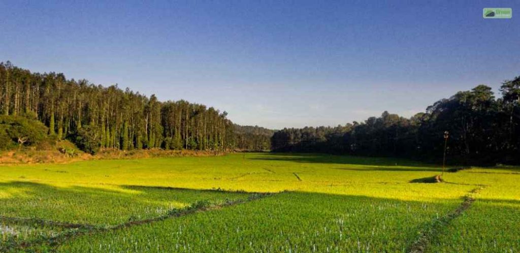 Exploring The Enchanting Beauty Of Kolli Hills: A Guide For Nature Lovers