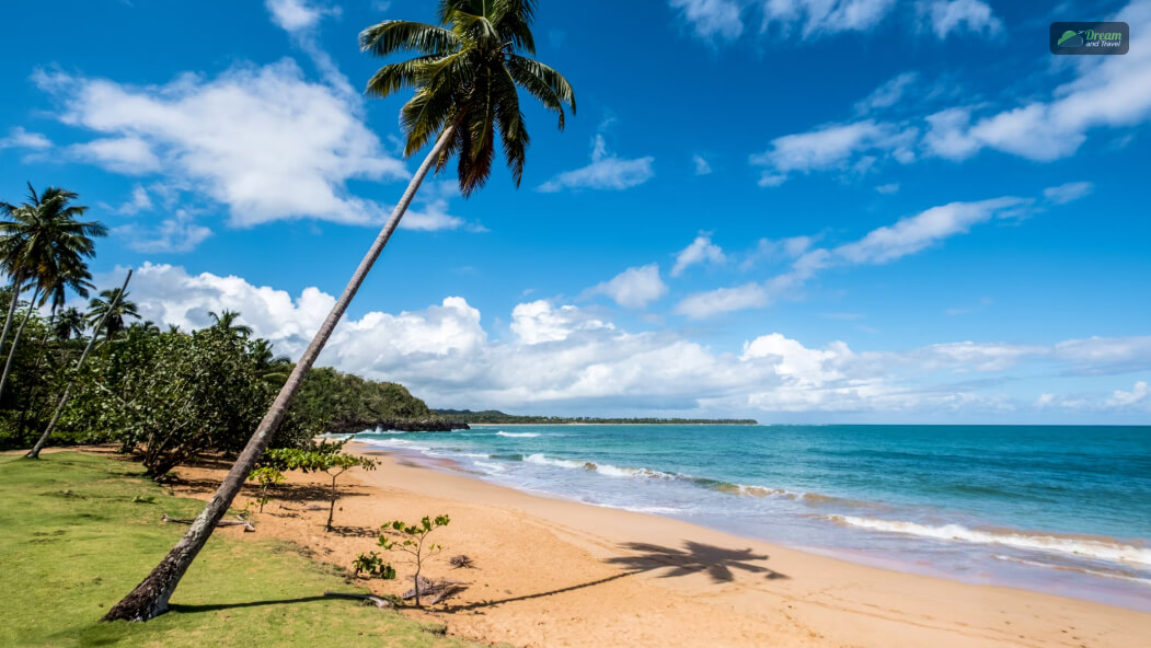 The Dominican Republic