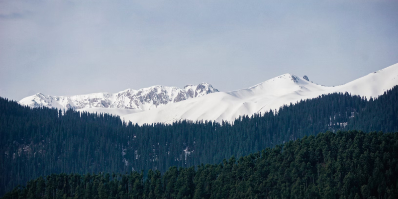 Top Attractions You Shouldn’t Miss In Gulmarg!