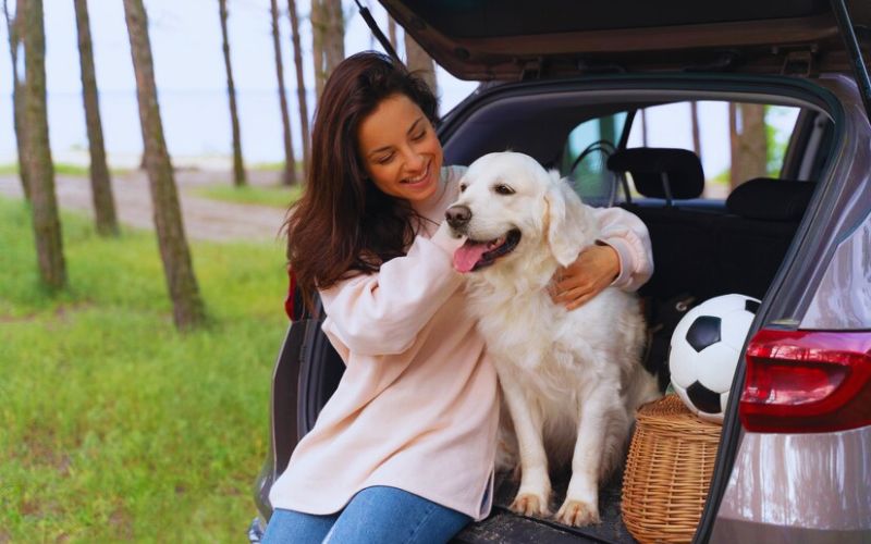 Travel Crates And Carriers