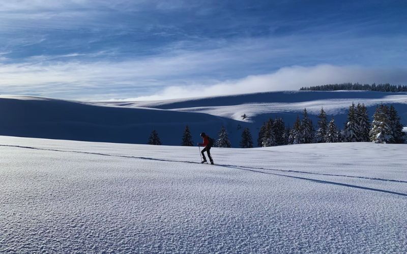 What Is The Best Place To Go For Guaranteed Snow Skiing