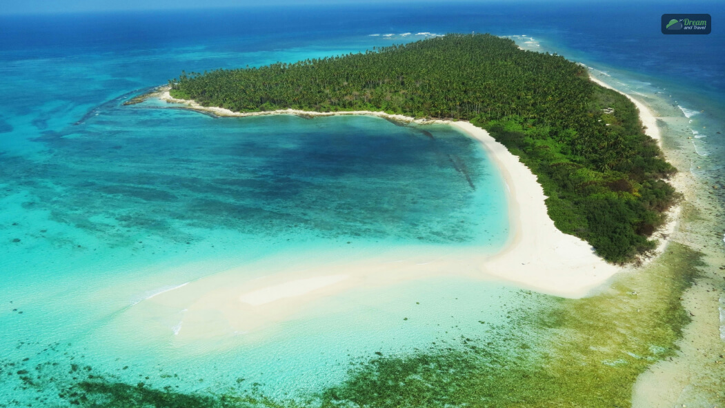 How Are Coral Islands Formed